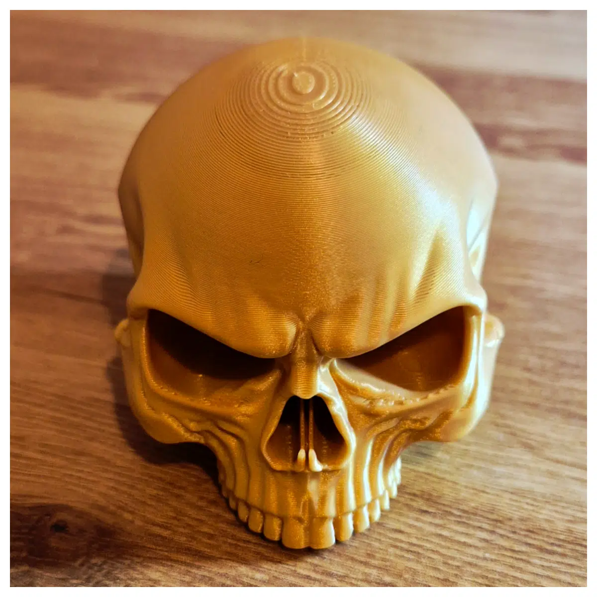plastic skull prop for haunted house decoration realistic human skeleton model horror movie set display anatomical study medical education
