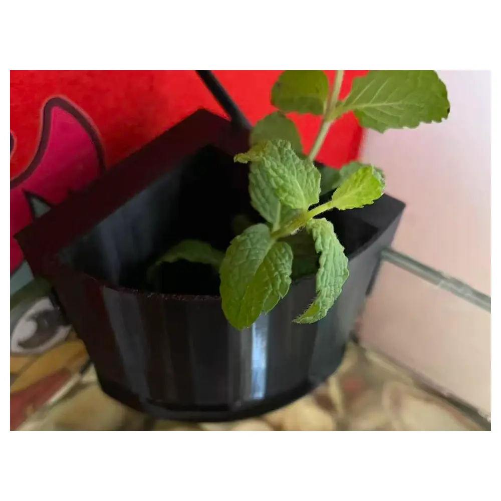 Aquarium Plant Basket Corner Hydroponic Landscape Vertical Wall Mount No Support Aquatic Planting Decoration Aquarium Accessories