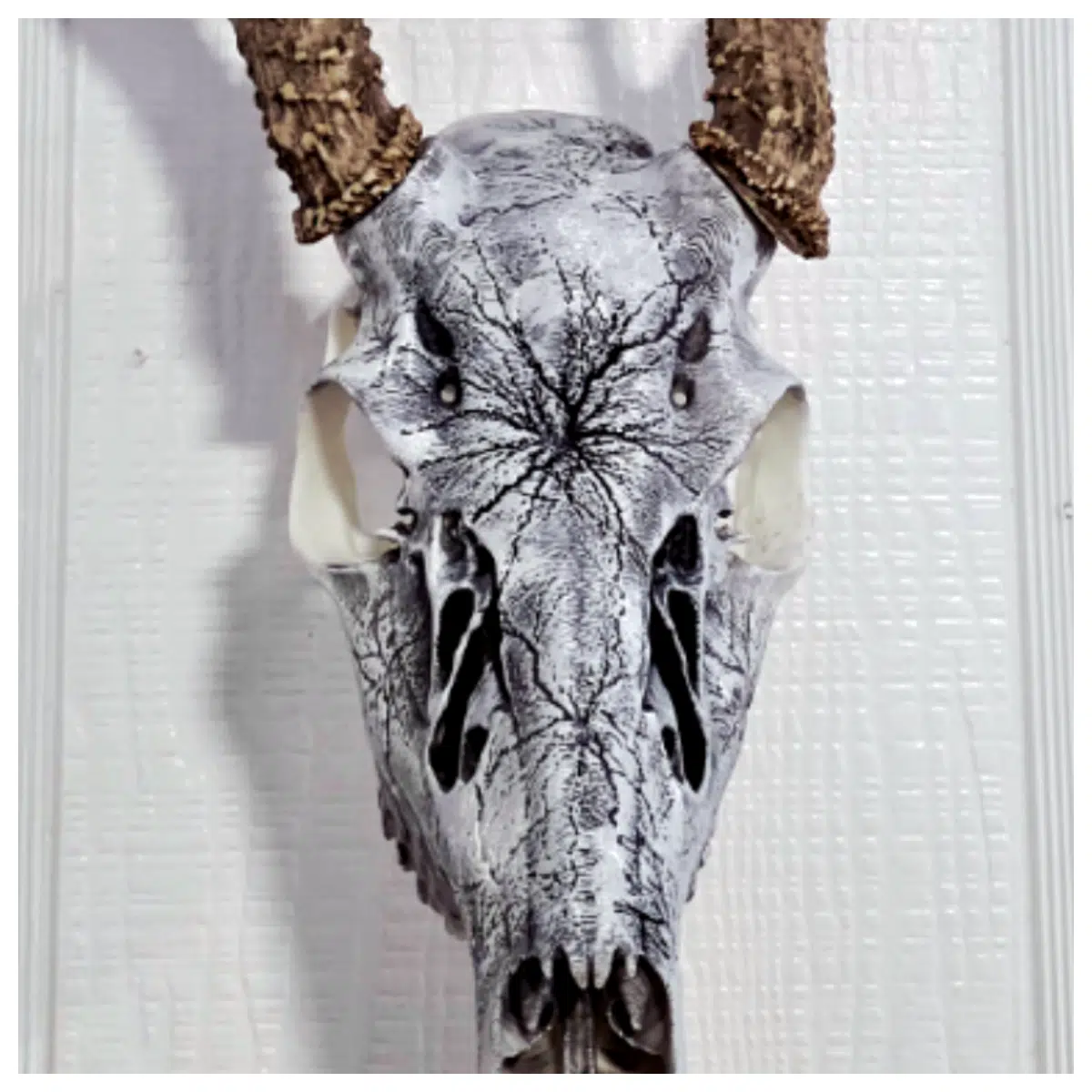 Deer Skull Fracture Marks Bone Specimen White Tail Skull Bone Repair Parts Skeleton Accessories