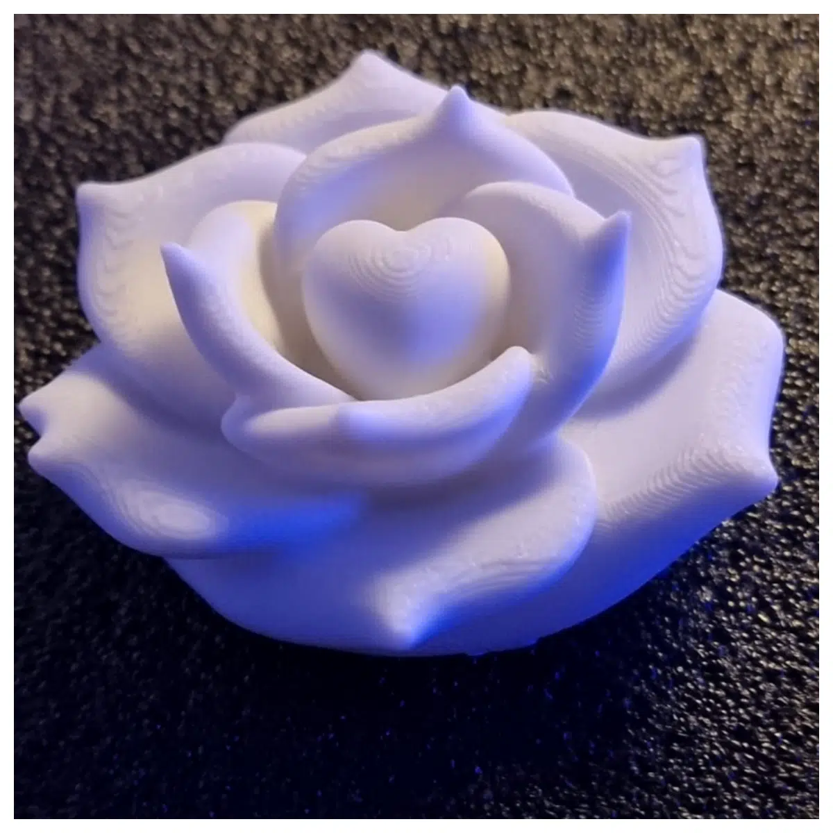 Rose Rose Oil Rose Essential Oil Rose Extract Rose Fragrance Rose Essence Rose Petals Rose Ingredients Rose Care