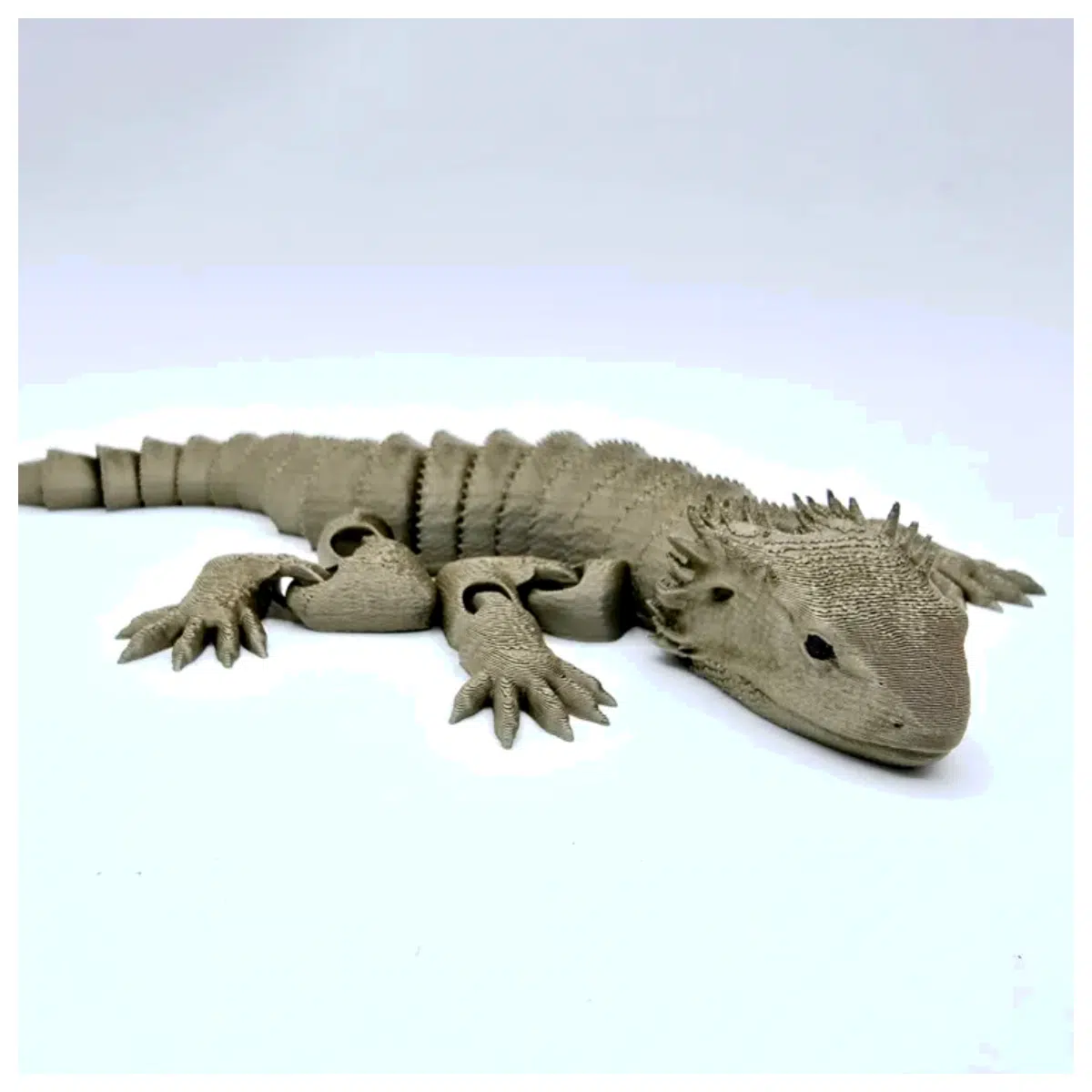Large Crested Gecko Accessories Kit Gecko Supplies Breeding Set Juvenile Lizard Toys Gecko Parts Reptile Accessories