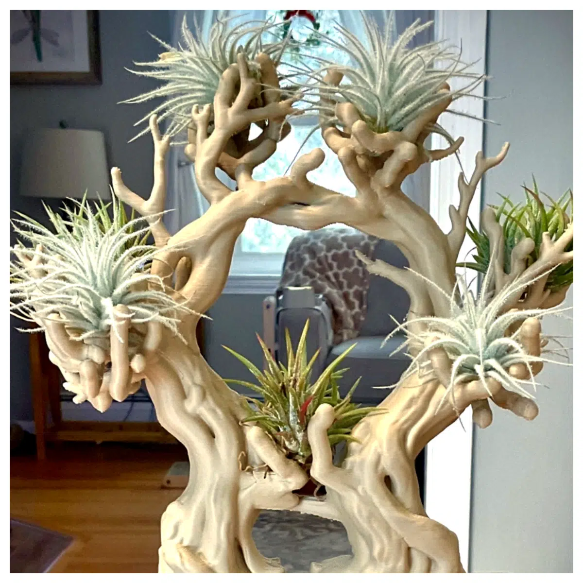 Bonsai Air Plant Stand Creative Display Holder Succulent Support Shelf Green Plant Stand