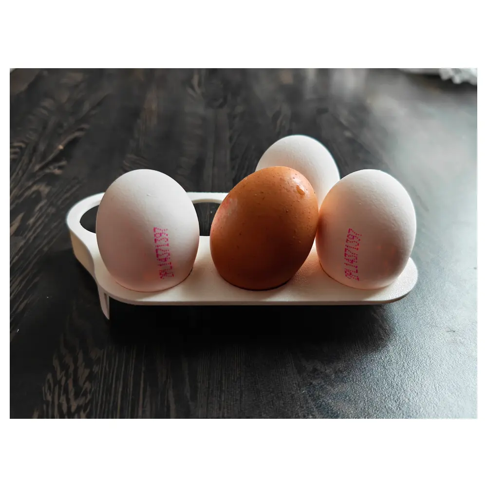 Refrigerator Egg Racks Egg Storage Shelves Egg Trays Kitchen Organizer Fridge Accessories Universal