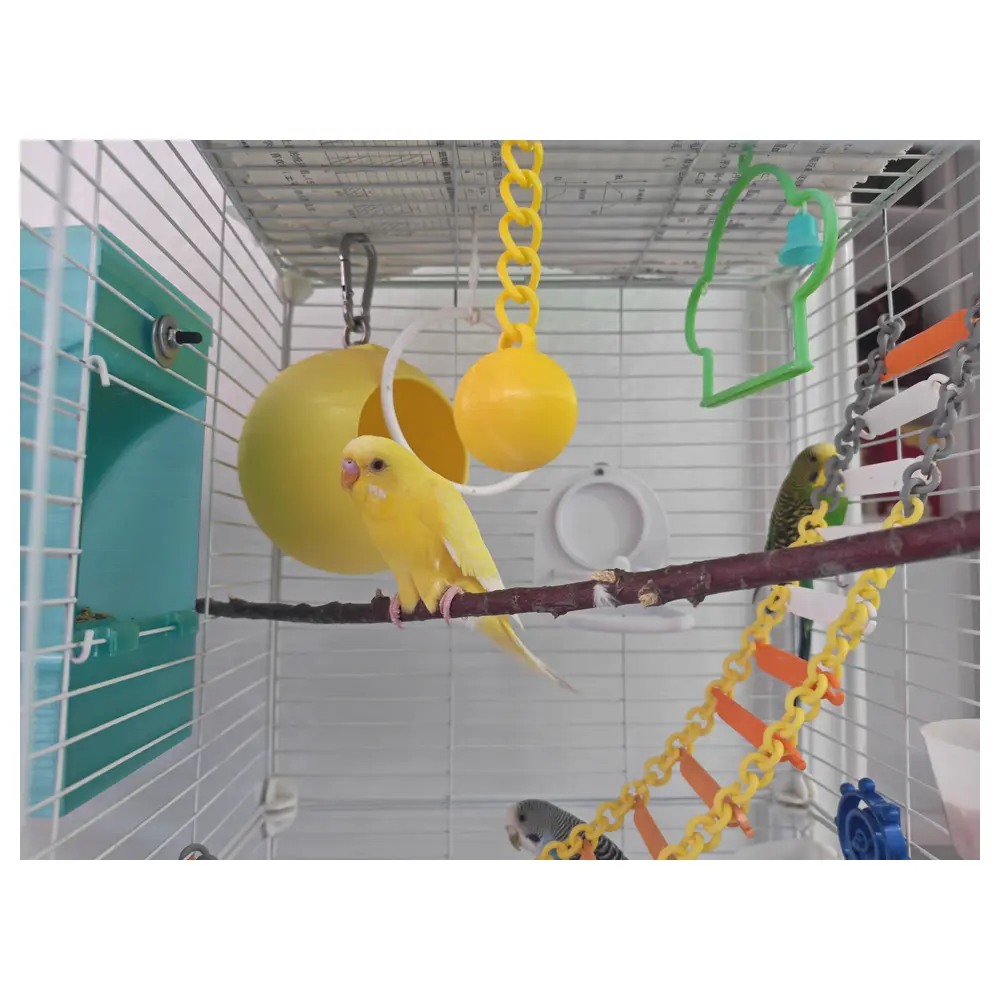 Parrot Toys Balls Hanging Balls Bird Toys Training Balls Puzzle Balls Pet Toys