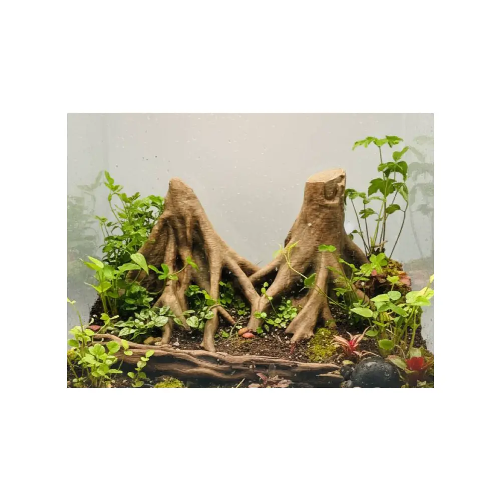 3D Backdrop Large Root System Photography Studio Props Film Set Scene Construction Photography Accessories