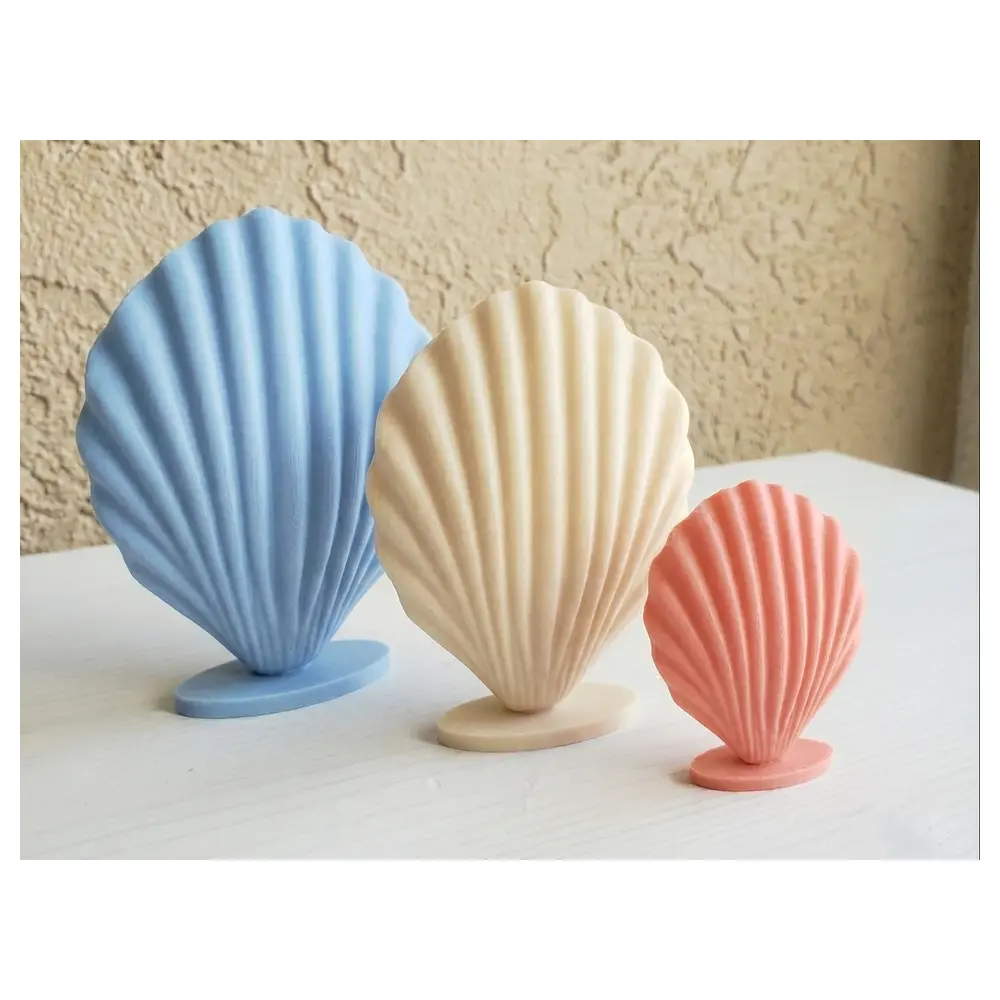 Vertical Shell Decoration Elegant Minimalist Shell Display s Buy Now