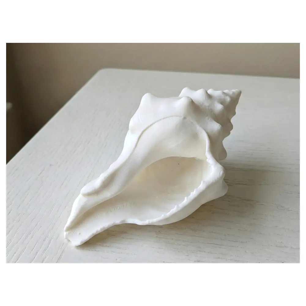 Realistic Spiral Shell Decor Ocean Decor Shells Spiral Shell Art Decoration Pieces