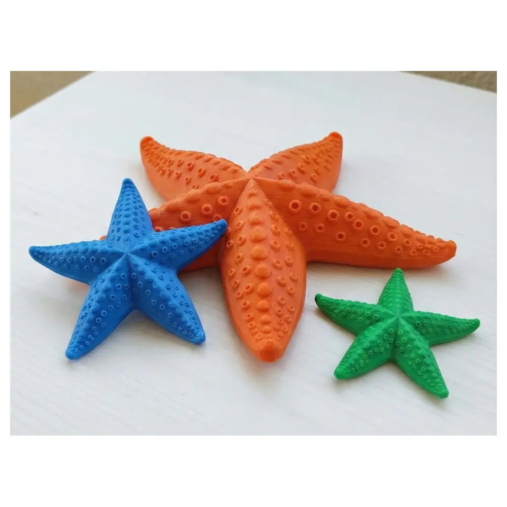 Realistic Starfish Model 3D Starfish s Library Realistic 3D Model