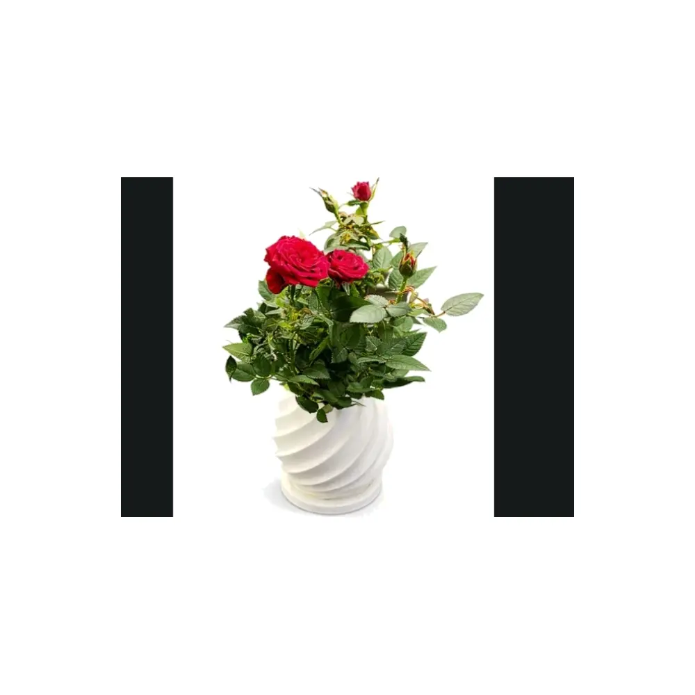 Planter Tray Spiral Planter with Tray 10cm Planter Stand Planter Base Pot Accessories