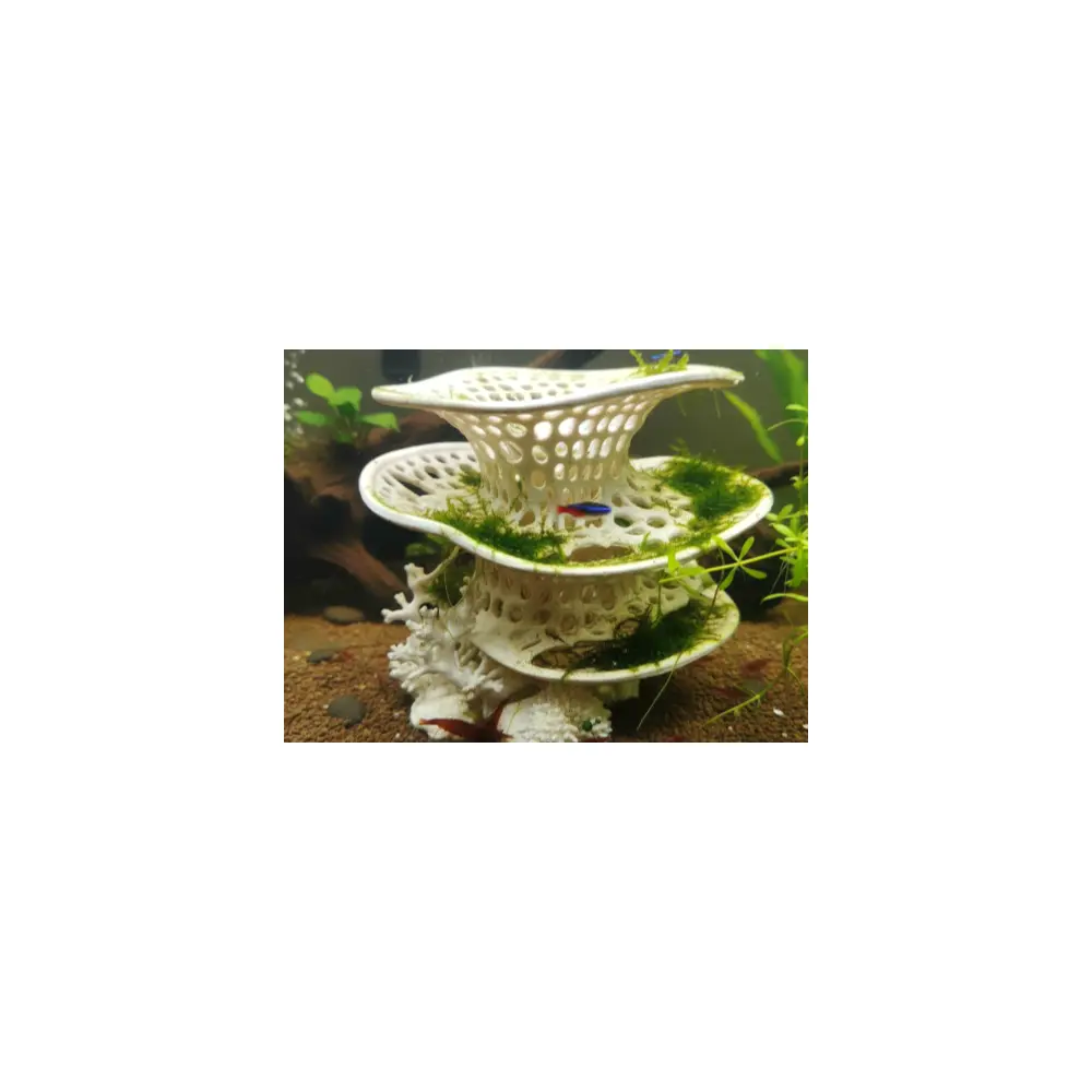 Fish Shrimp Hideout Pet Fish Hiding Box Aquarium Decoration Fish Toys Hideaway Fish Couple Pet Supplies