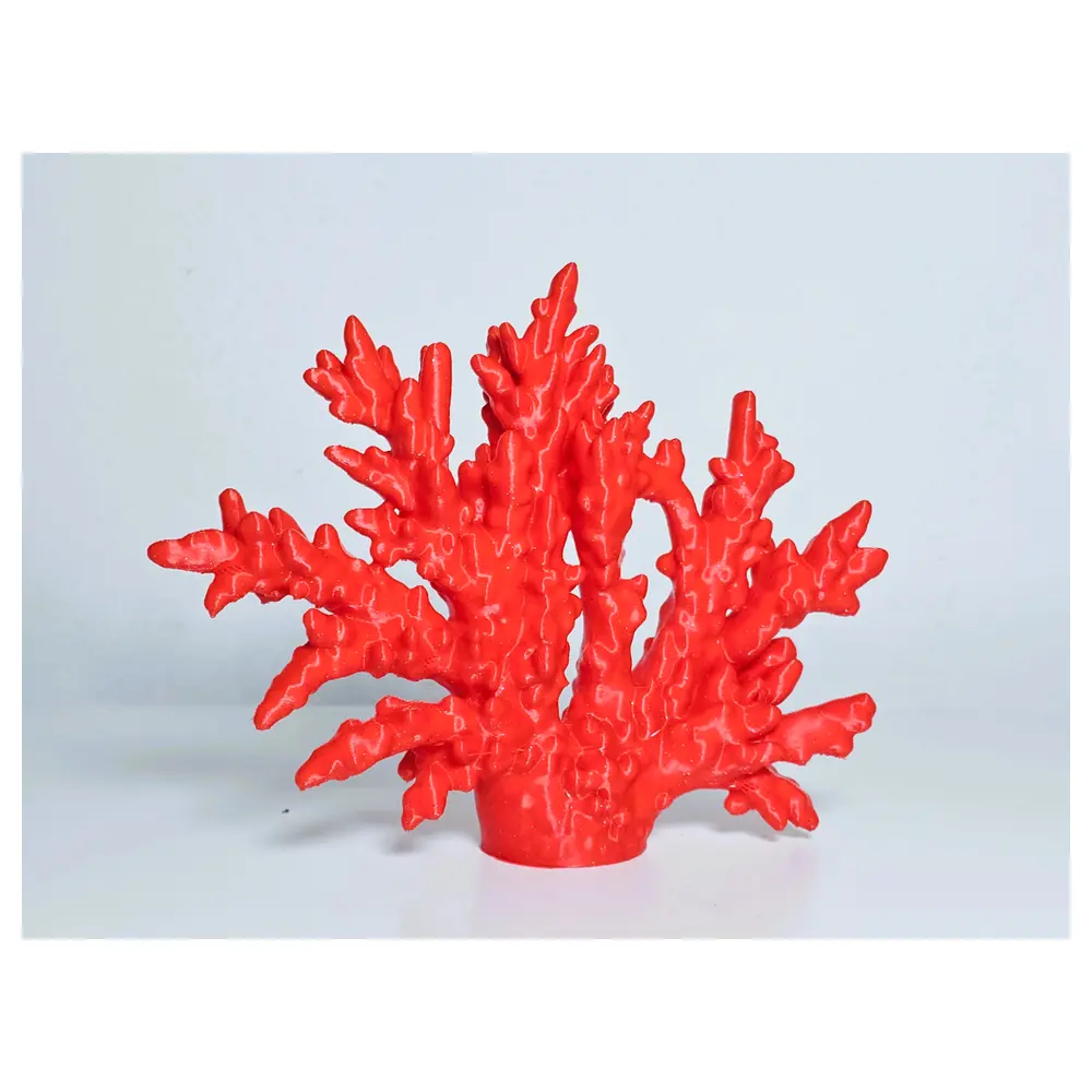 Coral Alternatives Seaweed Coral Coral Repair Coral Parts Coral s