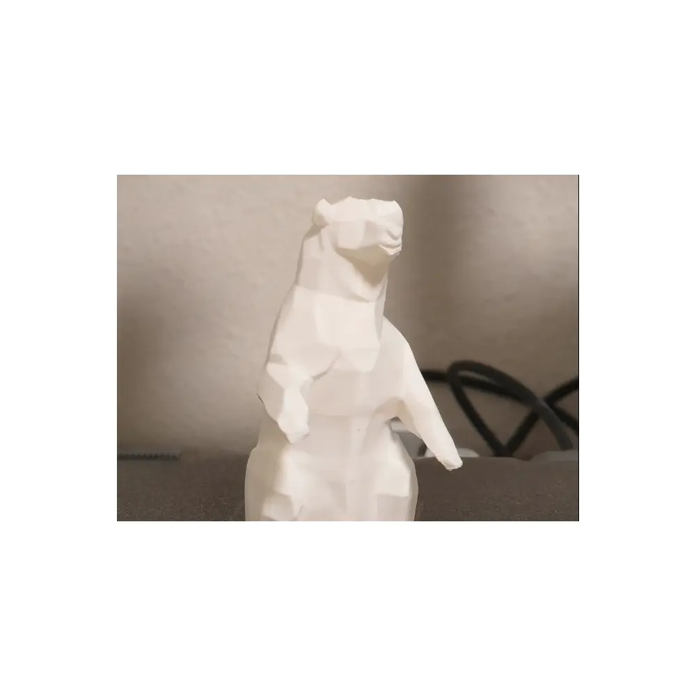 Polar Bear Car Cleaning Agent Automotive Wash Cleaner Auto Detailing Car Care Supplies
