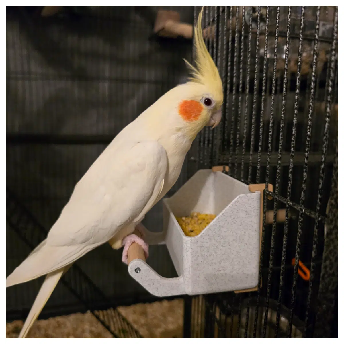 Bird Cage Food Bowl Bird Feeder Dish Parrot Food Holder Bird Supply Cage Accessories Bird Feeding Bowl Birdware