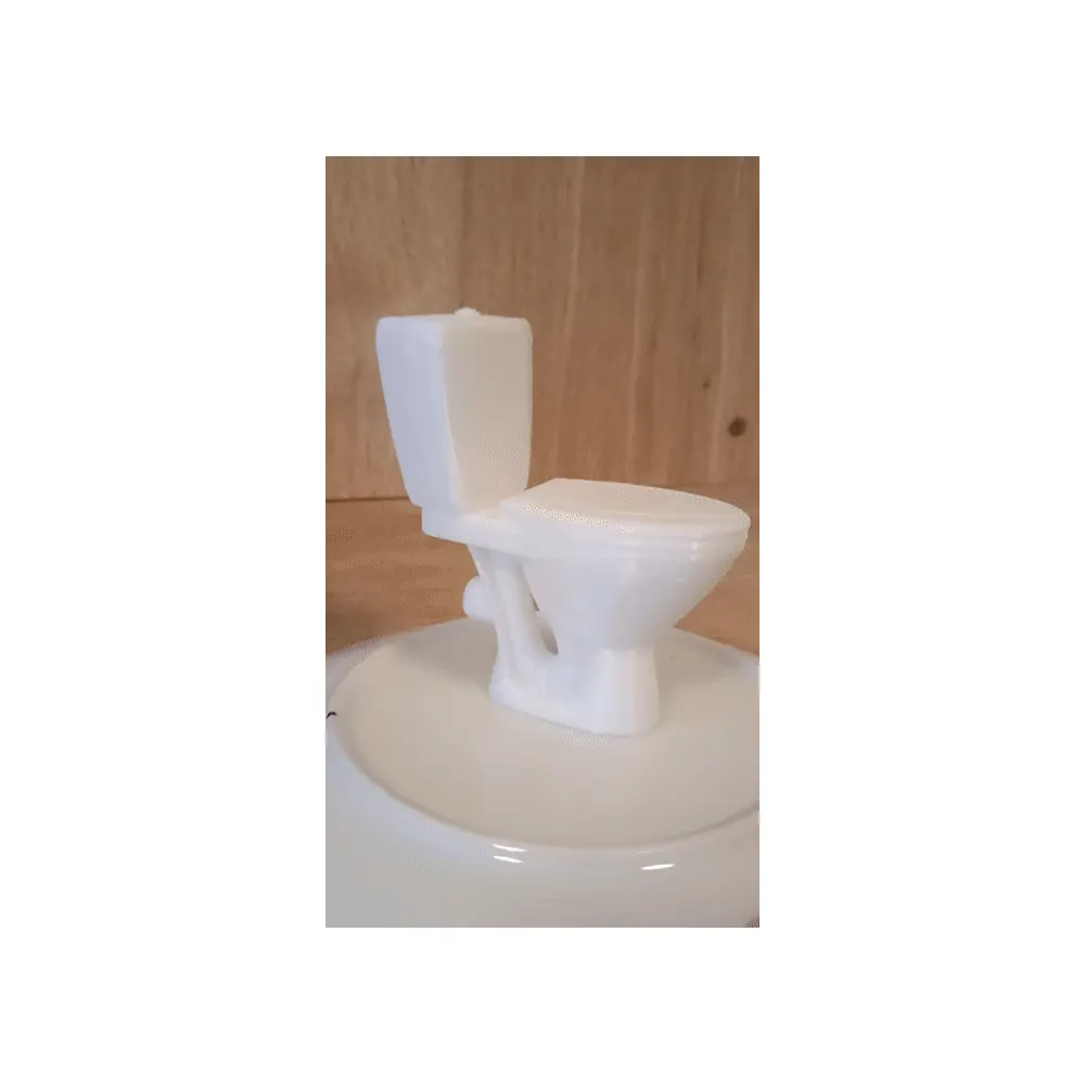 Toilet Repair Services Parts Replacement Bathroom Fixture Maintenance Support