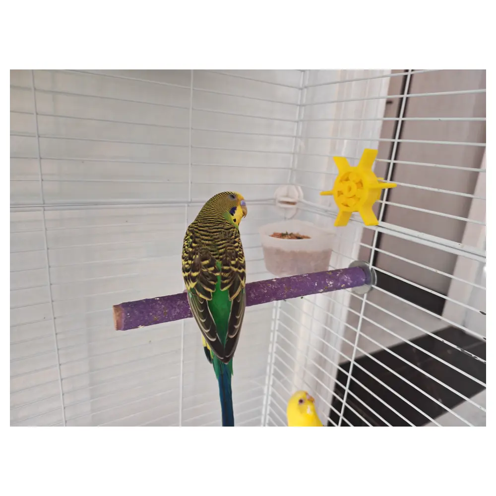 Parrot Turntable Toy Bird Toy Rotating Toy Puzzle Toy Pet Toy Bird Accessories
