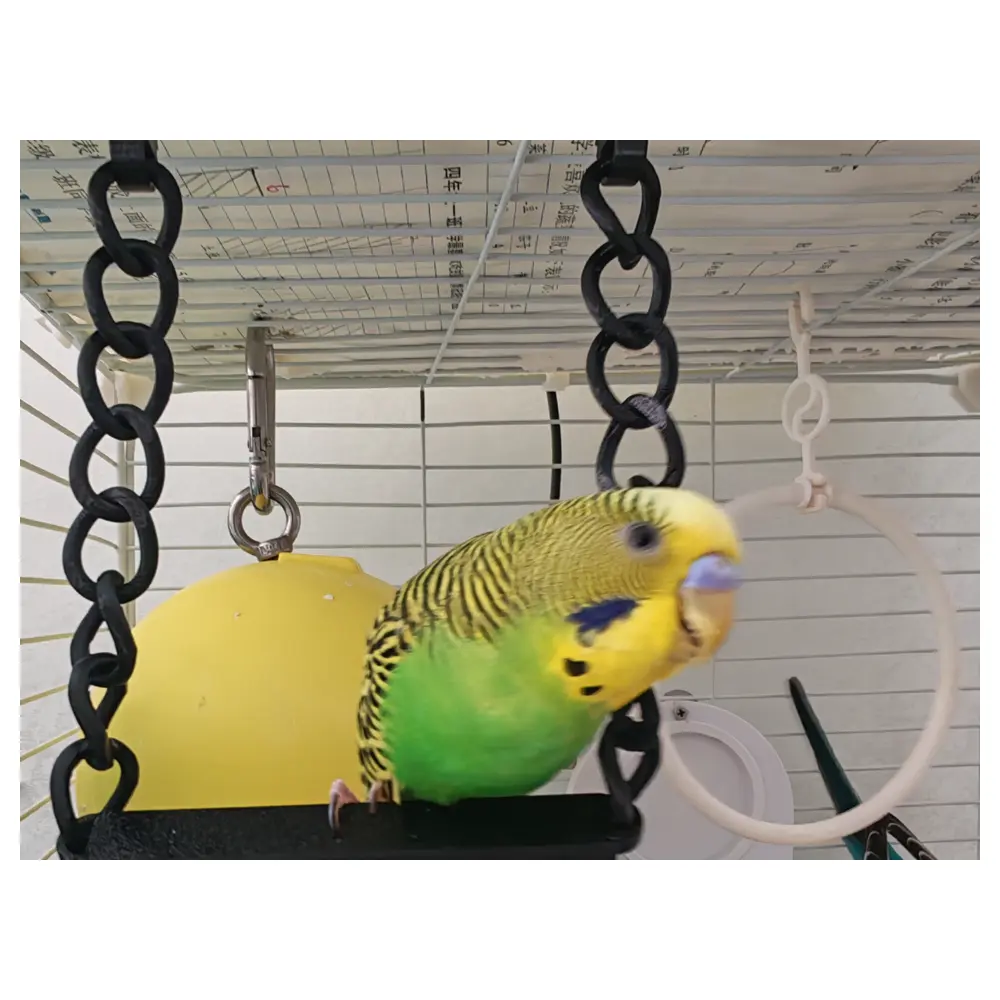 Swing Chair Parrot Hammock Relaxation Toys Outdoor Kids Cradle Seat Sports