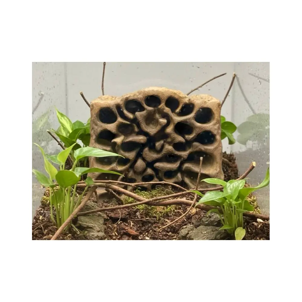 3D Background Plate Bird s Nest Virtual Backdrop Photography Props Stage Backdrop Studio Shooting