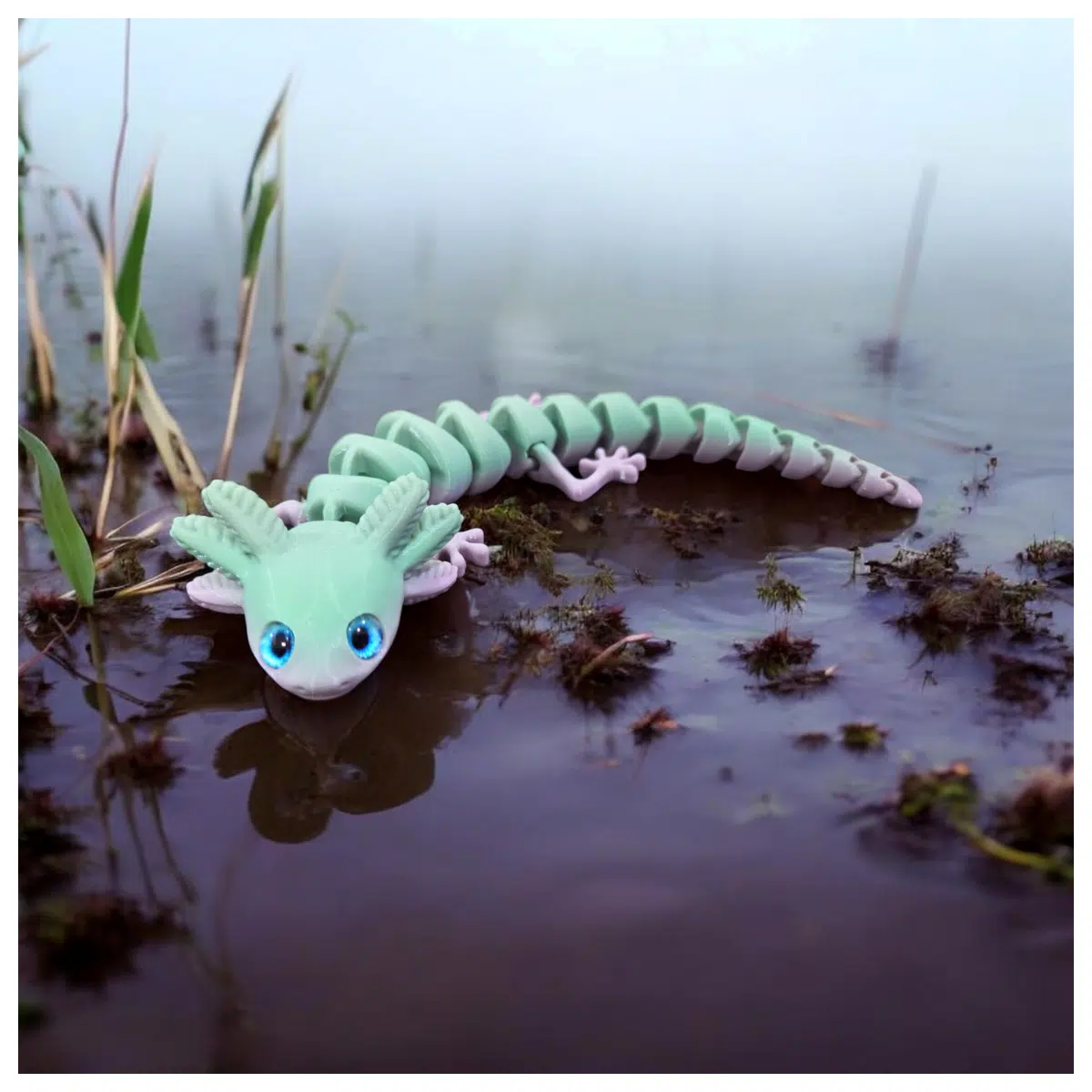 Eye Salamander Eyeball 6mm 8mm Glass Eyeball Compatibility Aquatic Animal Eyes Reptile Eyes