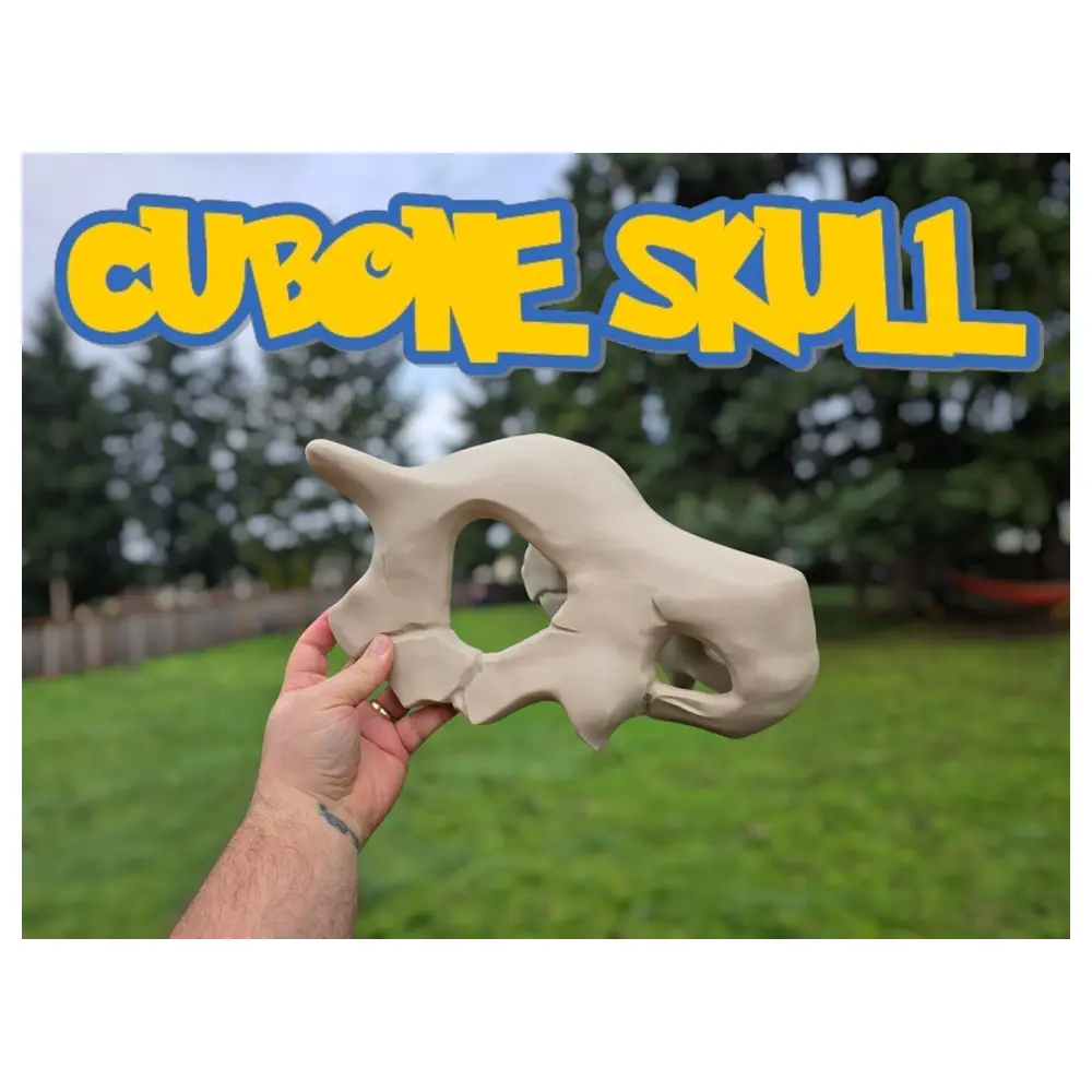 Carracara Skull Bird Skeleton Model Archaeology Museum Display Bone Parts Repair
