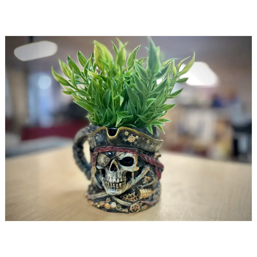 Pirate Skull Mug Ceramic Cup Coffee Mug Tea Cup Skull Cup Friends Creative Mug Design