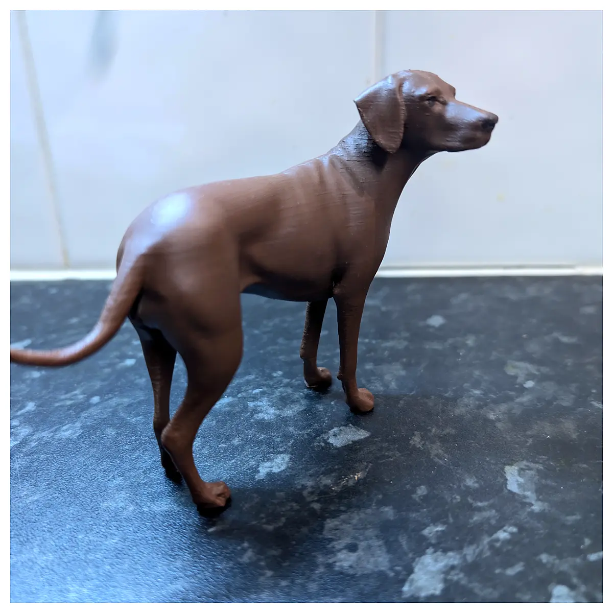 Vizsla Hunting Dog Breed Puppy Food Training Dog Toys Dog Accessories Pet Supplies