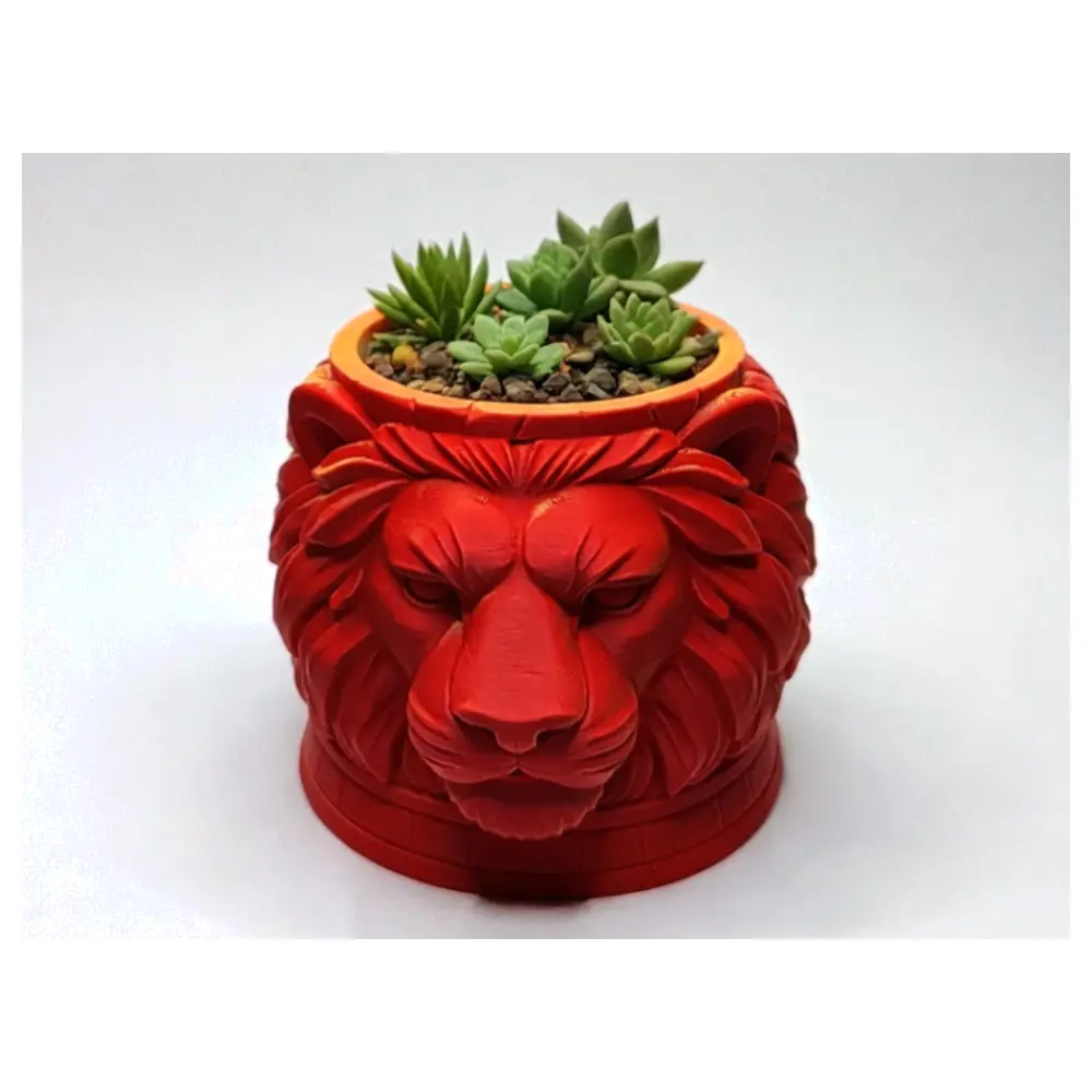 Succulent Planter Lion Head Pot Cactus Planters Plant Care Mini Planters Desktop Decoration
