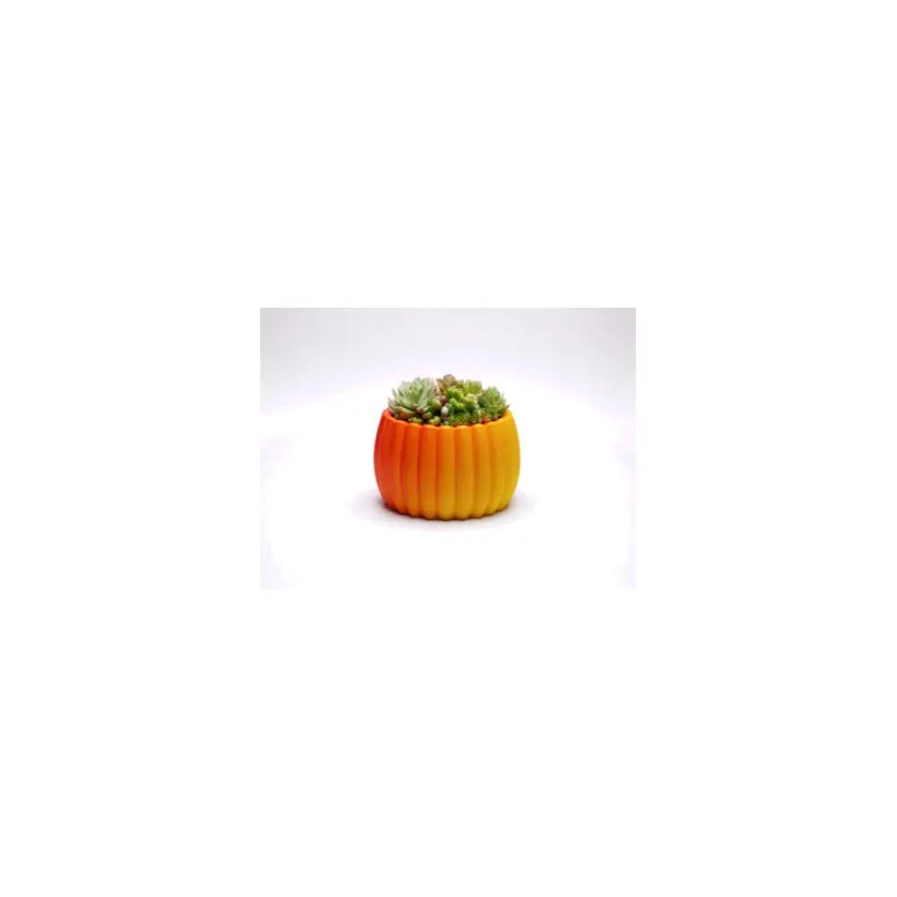 Succulent Planters Creative Pots Cactus Planters Indoor Plants Terrarium Garden Pots