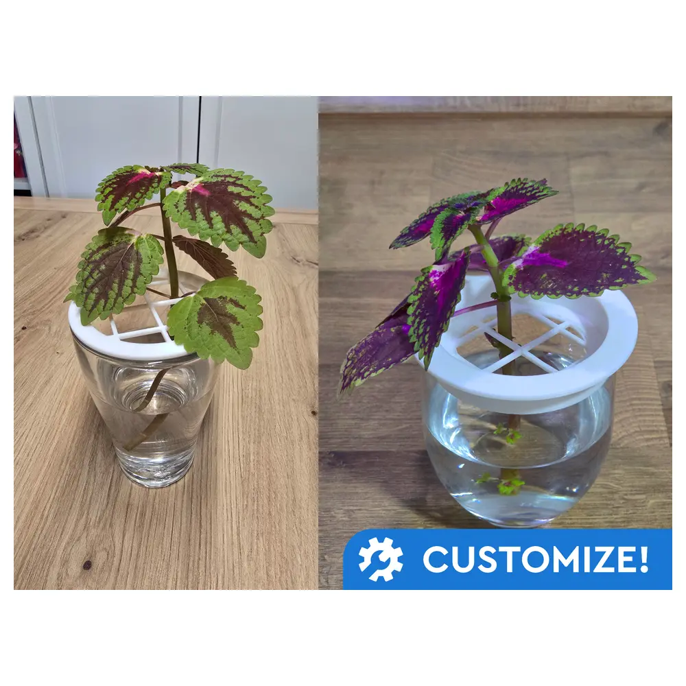 Parametric Glass Lid Plant Greenhouse Cover Growing Propagation Glass Shade Plant Accessories