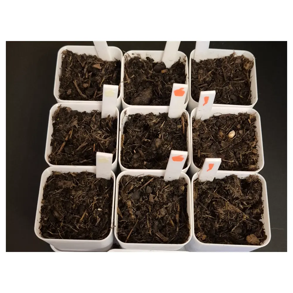 Full Parameterized Seedling Growing System Seedling Equipment Seedling Machine Seedling Tray Seed Propagation Garden Equipment