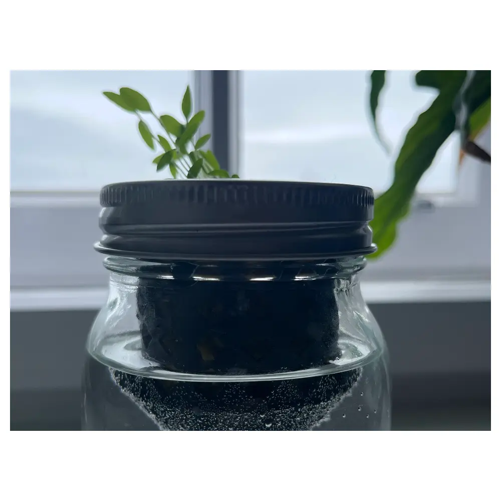 Glass Jars Hydroponic Planters Rooted Grow Bags Planting Basket Universal Container Pots Flowers