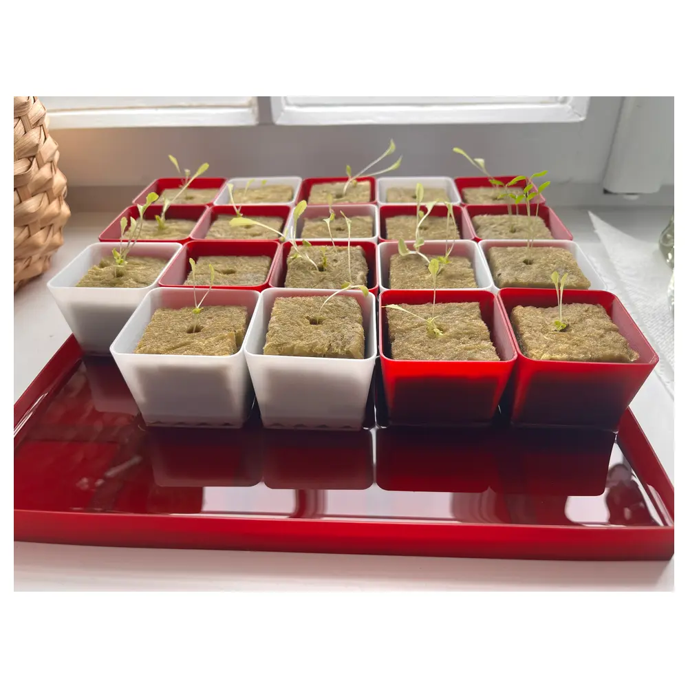 Seedling Tray 5x5 Seedling Box Seed Starting Pots Vegetable Seedling Growing Tools