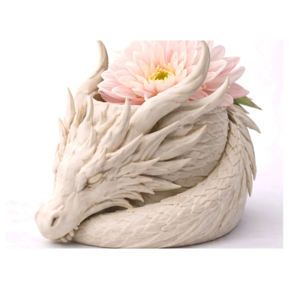 Dragon Planter Blooming Large Flowers Variety Flower Pots Flower Planting Flower Arrangement Gardening