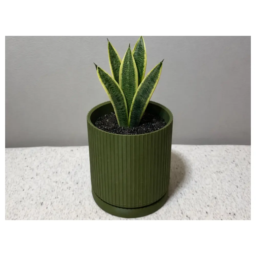 Ribbed Desktop Planter V2 SM Ribbed Planter Desktop Planter Plant Stand Indoor Planter Houseplants Planters