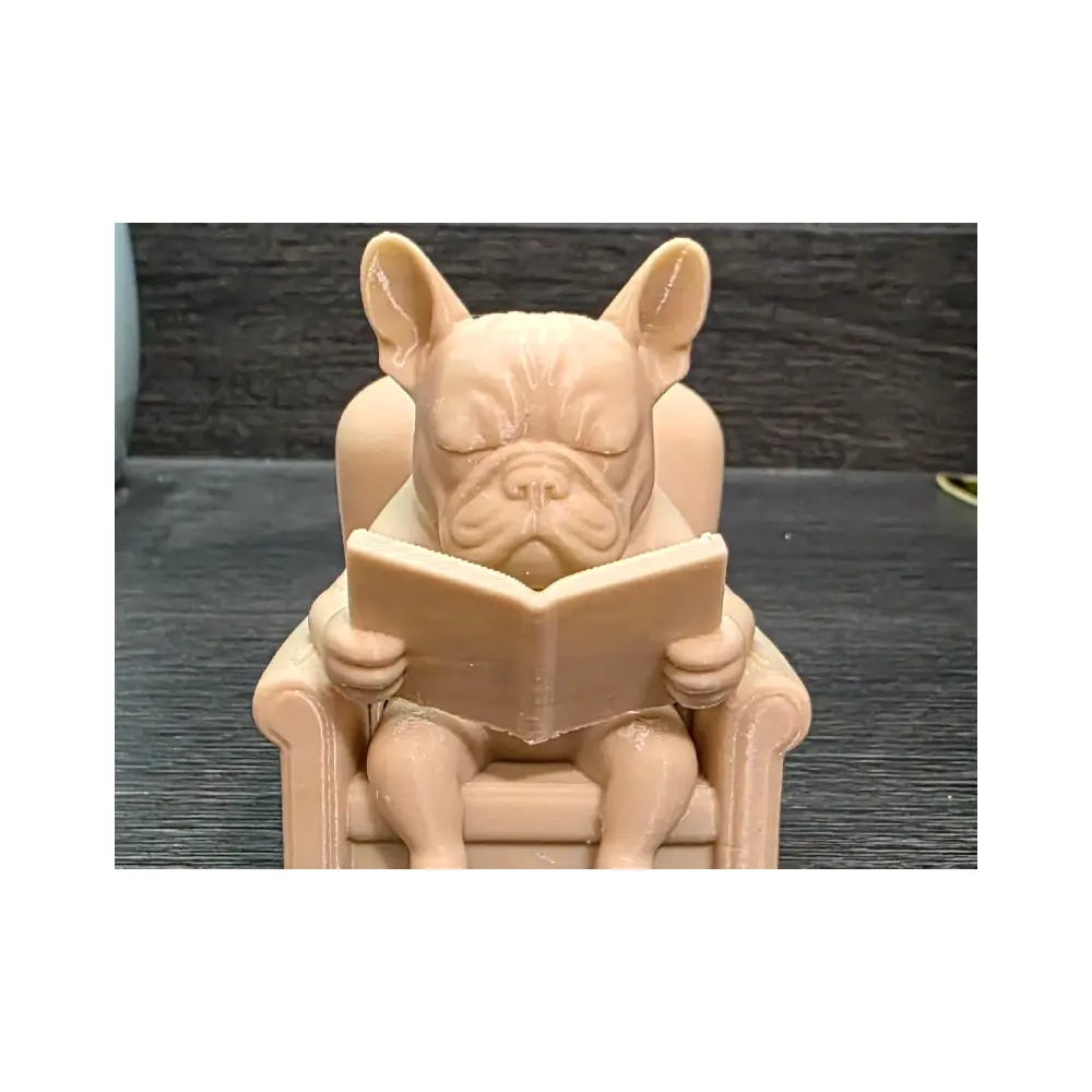 French Bulldog Reading Guide Dog Books Pet Learning Canine Training Tips