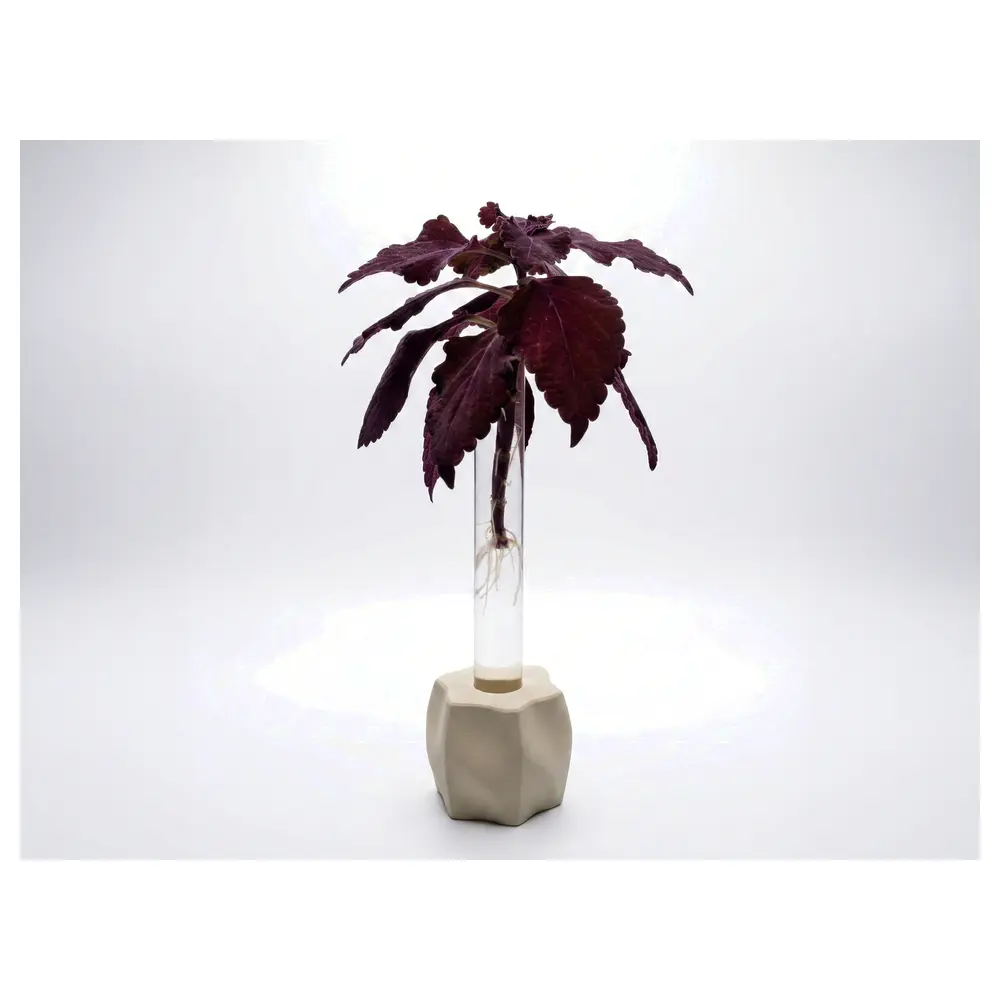 Plant Cuttings Holder Minimalist Test Tube Holder Pot Plant Support Mini Support Flower Growing Tools Cutting Support