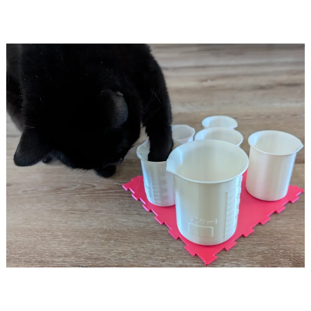 Curious Paws Cup Puzzle Toy Brain Teaser Kids Educational Toys Fun Challenge Cup Game