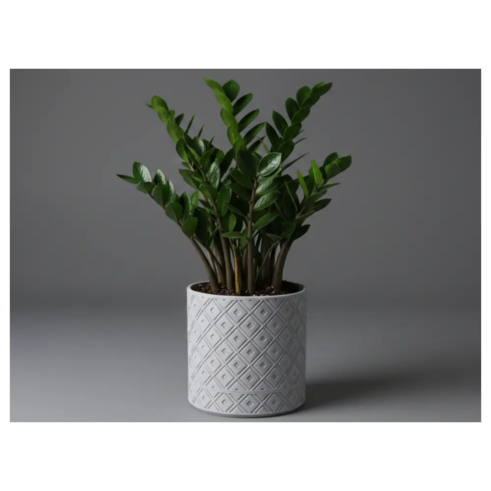 Modern Planter Hidden Drip Tray Succulent Planter Woven Planter Pot Plant Care Gardening
