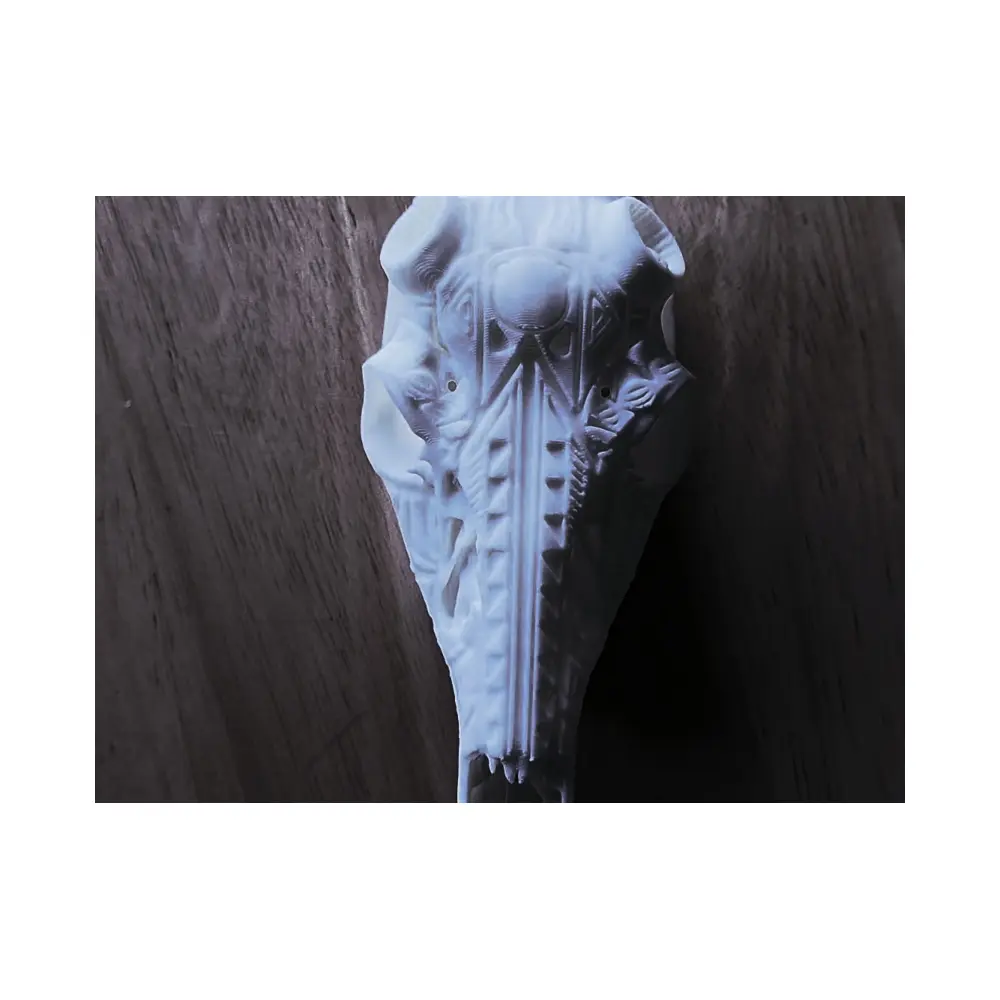 Deer Skull for Sale Skull Model Animal Skeleton Research Education Bone Parts
