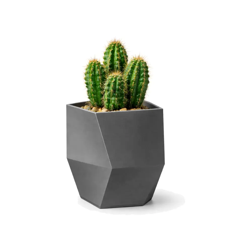 Ruben Planters Universal Pots for Flowers Garden Houseplants Parts Repair Buy Now
