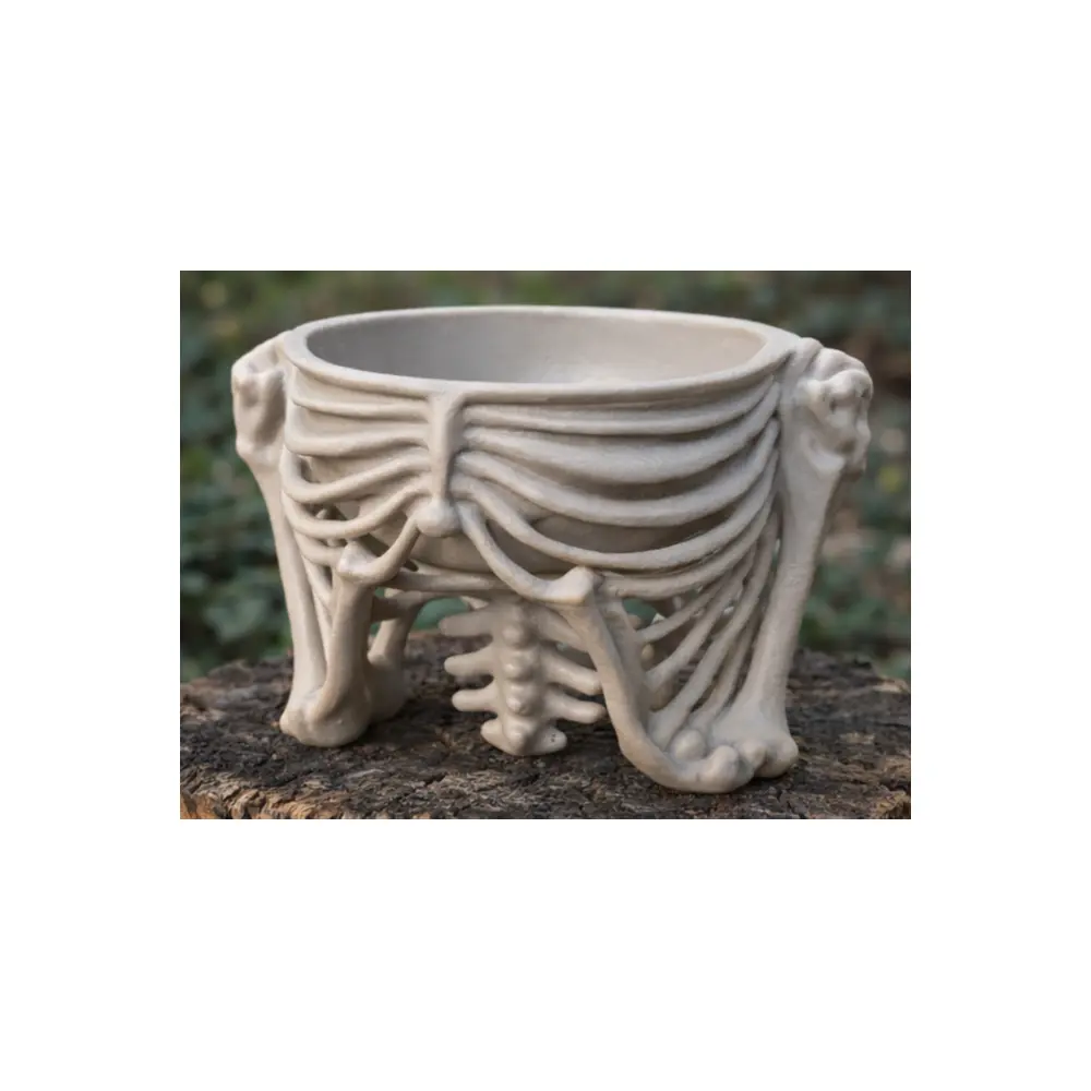 Bone Bowl Ghost Rib Cup Bone Dinnerware Bone Dinnerware Bone Bone Bowls Ghost Rib Bone Wholesale