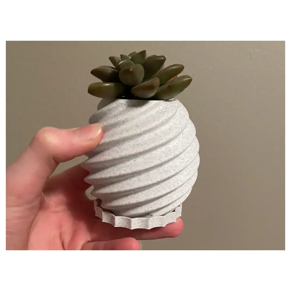 Succulent Plant Pots Care Tips Planting Methods Container Gardening Succulent Decor Green Plants