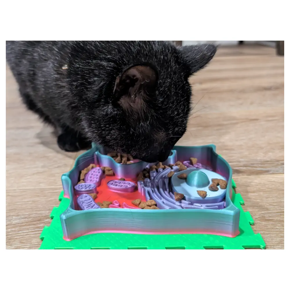 Slow Feeder for Plant Cells Curious Paws Pet Slow Feeder Feeding Tool Nutrition Diet Pet Bowls