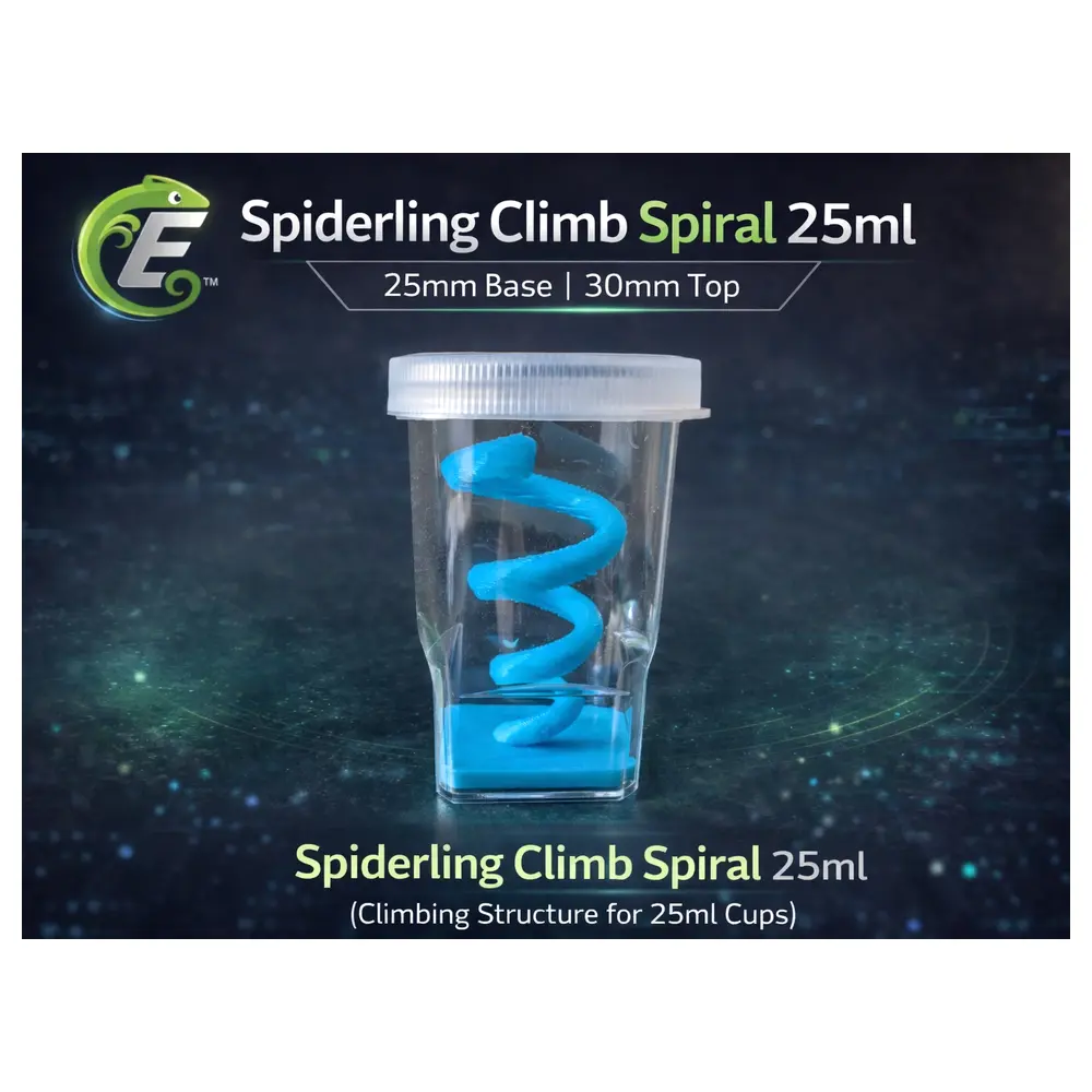 Baby Spider Climbing Toy Spiral 25ml Educational Toys Kids Brain Teaser Climbing Toy Fun