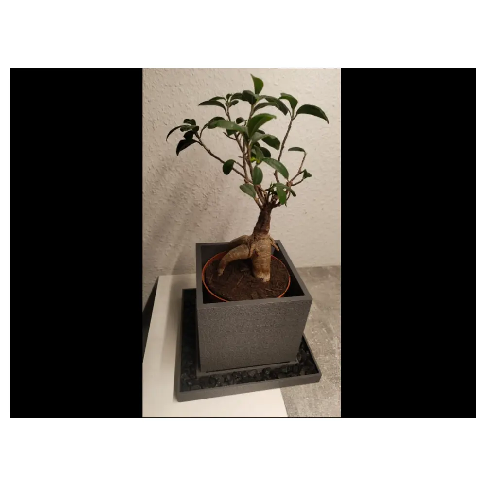Planter Square Pot with Base Container Plant Flower Decoration Plant Care