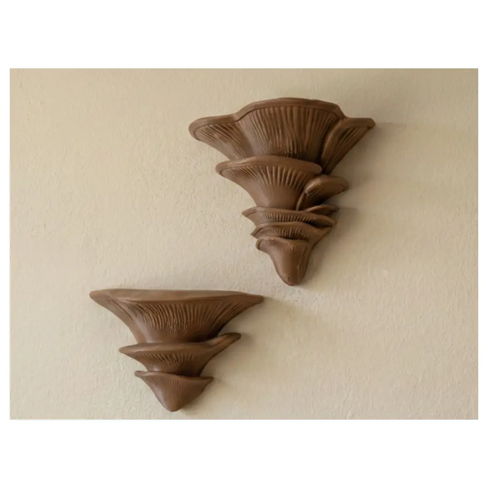 Natural Mushroom Wall Decor Inspiration Art Wall Covering Panels Decorative Wall Art Wall Finishes 57 characters