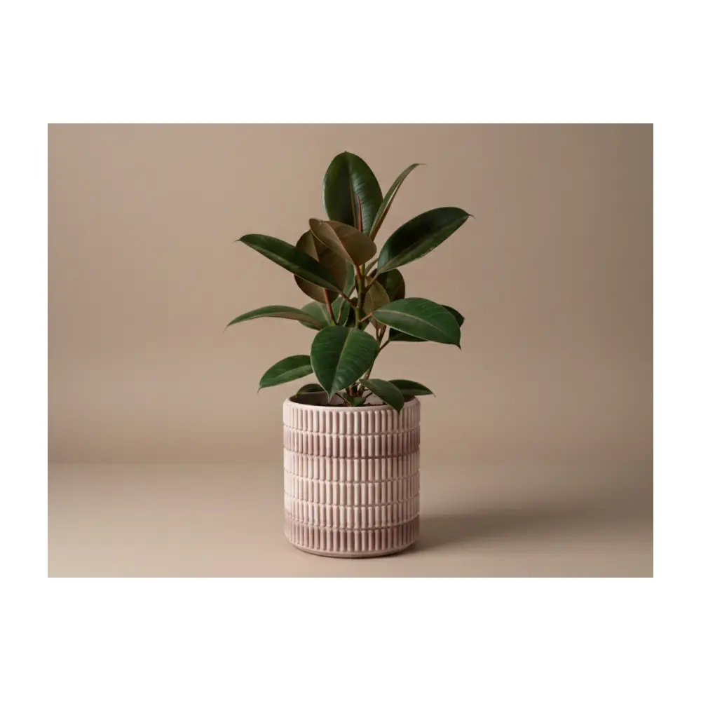 Modern Planter Hidden Drip Tray Watering System Plant Pots Gardening Supplies Succulent Planters