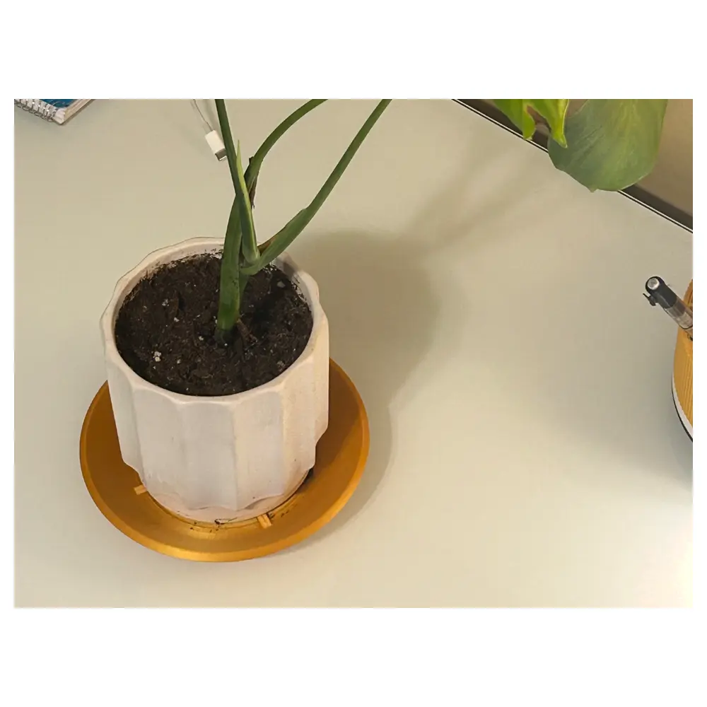 Minimalist Flower Pot Stand Drainage Tray Plant Stand Pot Base Tray Plant Support System