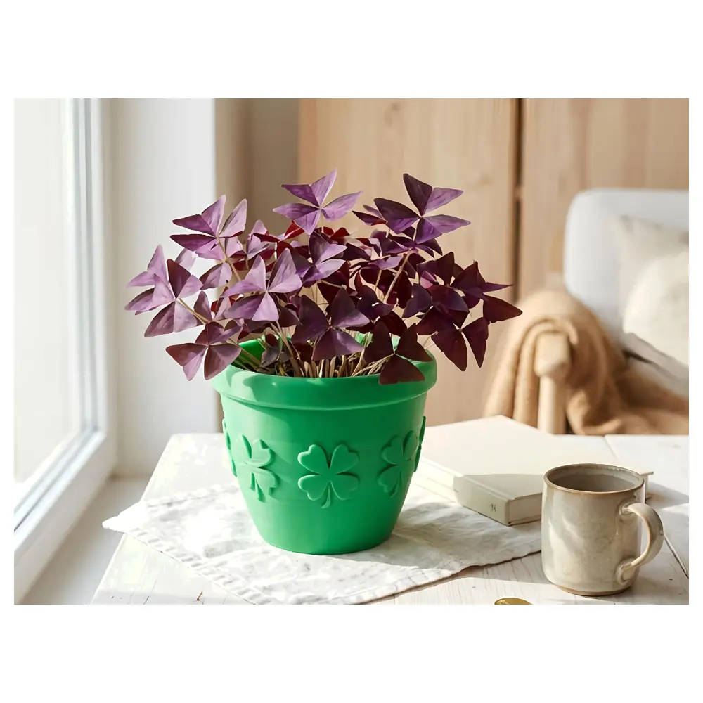 Mini Lucky Planter Small Pot Houseplants Indoor Flowers Decoration Lucky