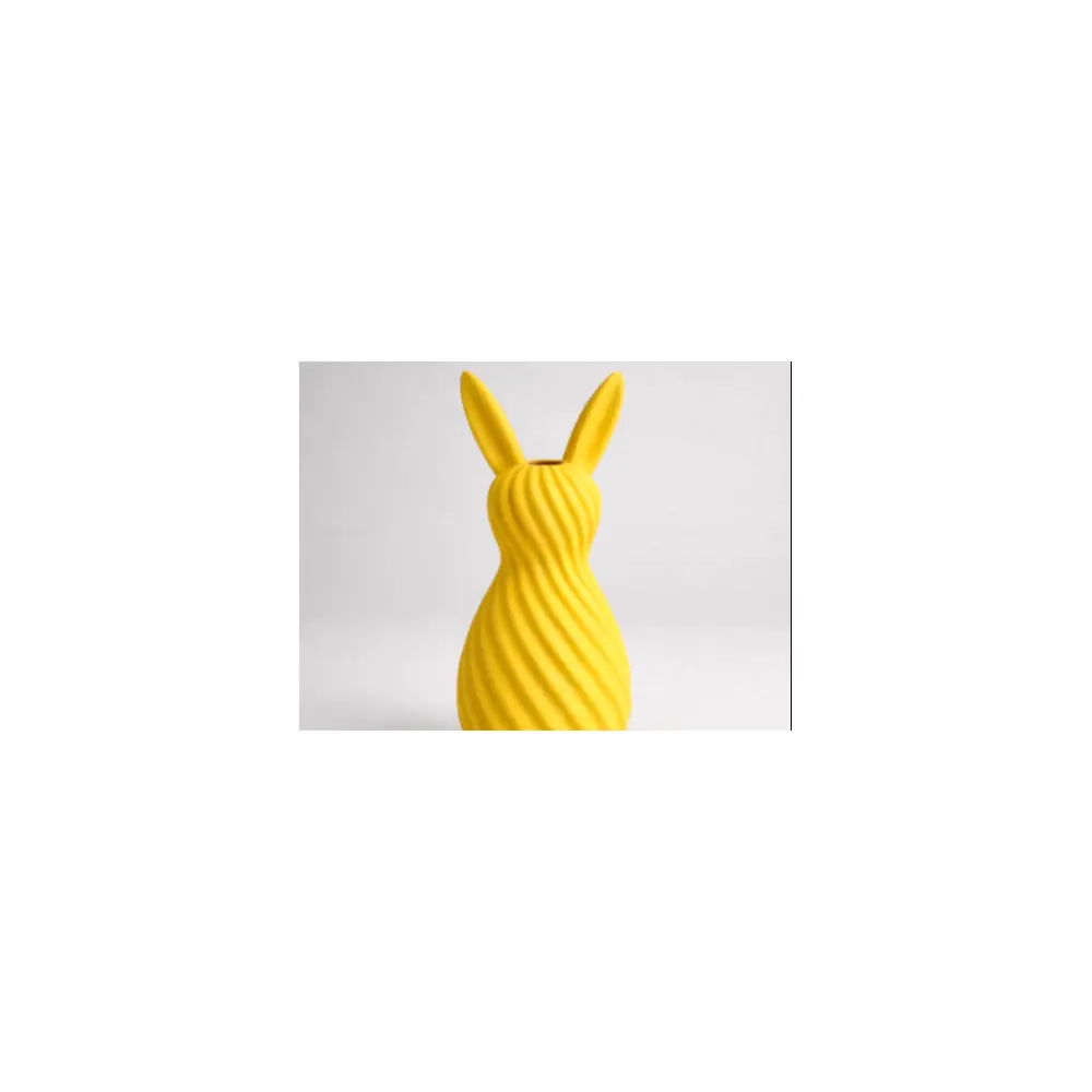 Minimalist Rabbit Ear Vases Ceramic Vases Flower Arrangement Home Decor Modern Simple Creative Vases