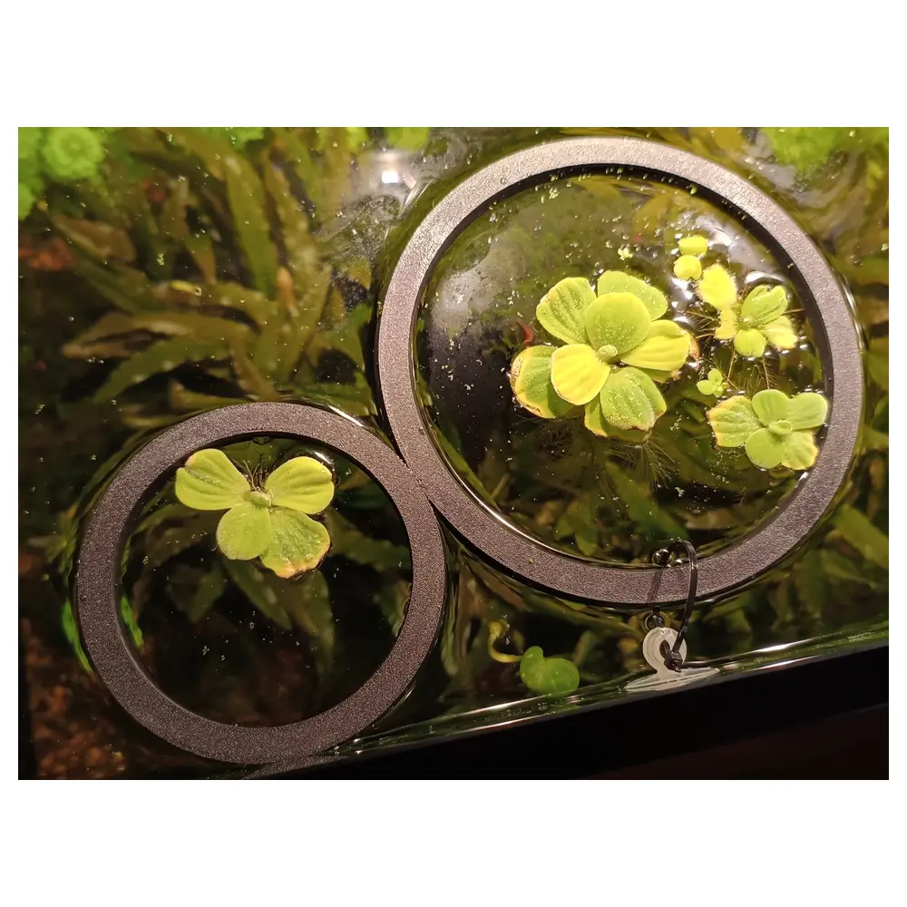 Floating Island Plant Pot Perforated Floating Plants Terrarium Decorative Container 101520cm